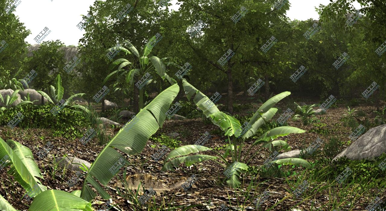 images/goods_img/202104094/Jungle Scene/2.jpg